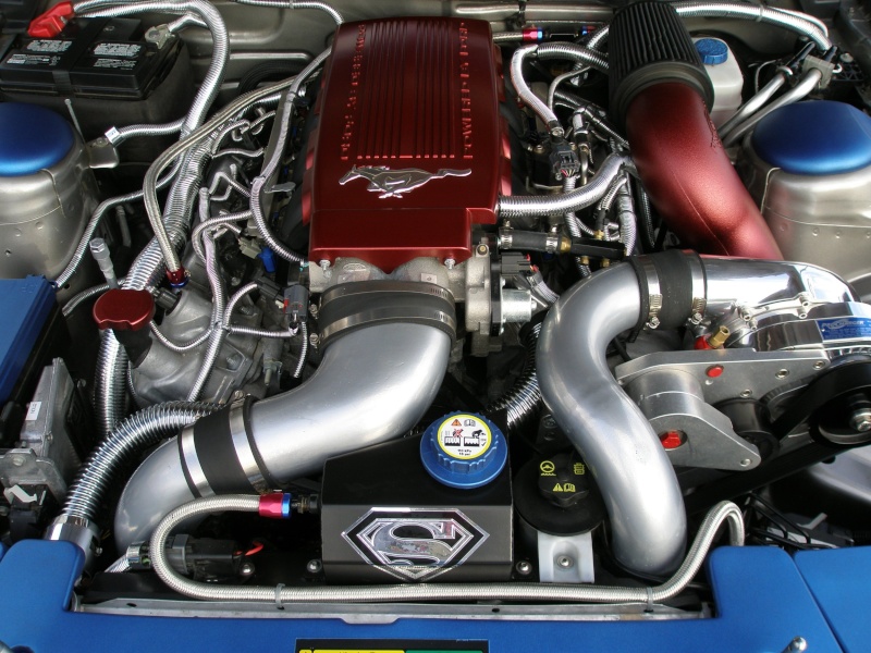 Updated Engine Bay Pics 2008 Blown Mustang Gt - Ford Mustang Forum