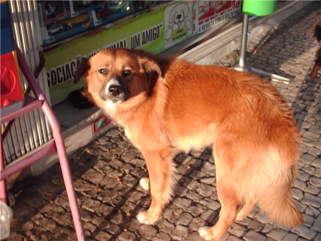 Imagem