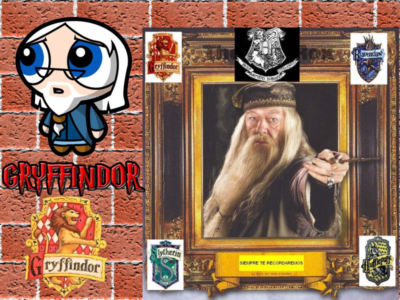 IAMGNES DE GRYFFINDOR