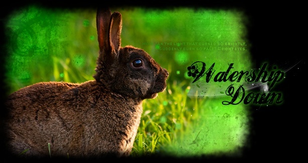 Watership Down