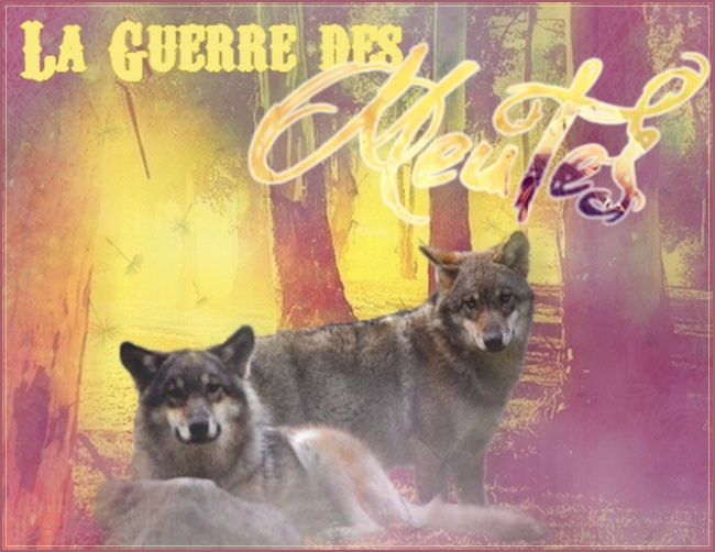 La Guerre des Meutes