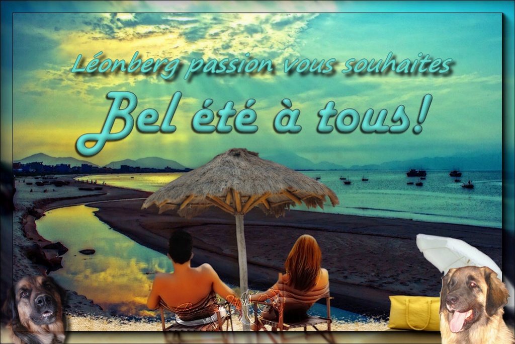 le forum sur le Léonberg et autres ...