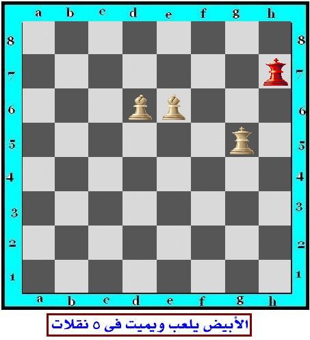 chess_13.jpg