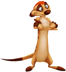 timon10.png