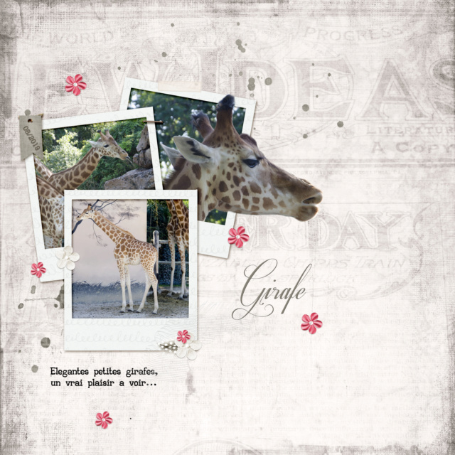 girafe10.jpg
