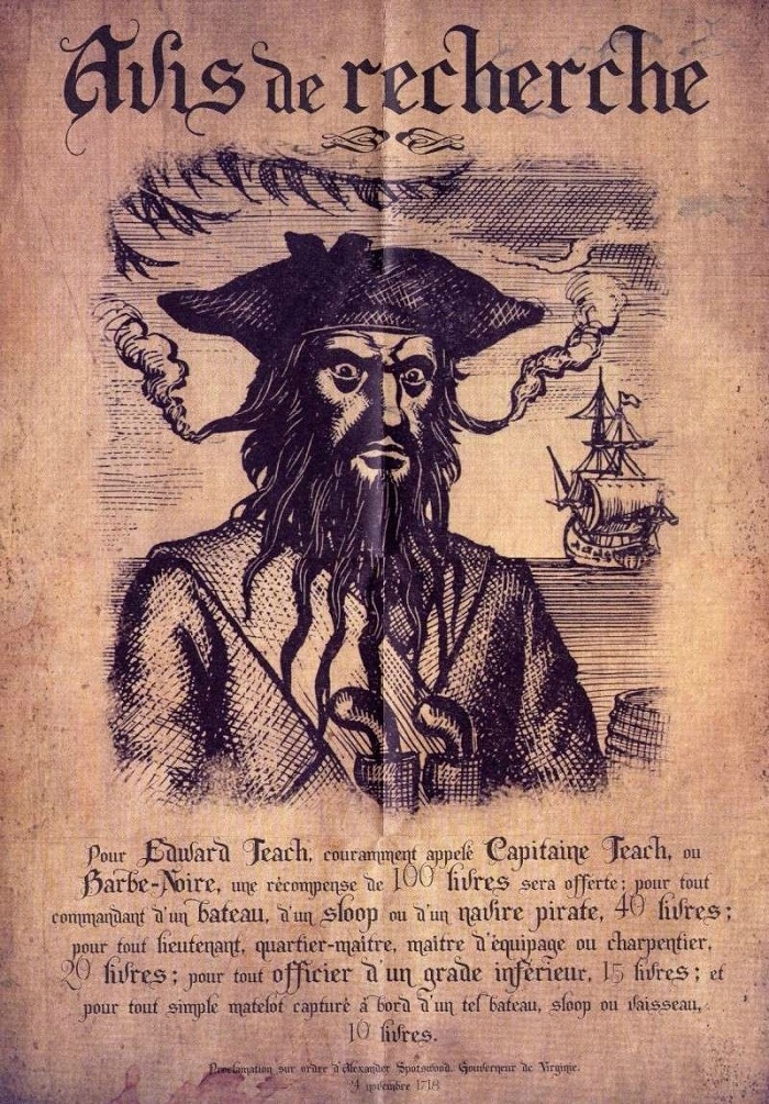 11858010.jpg