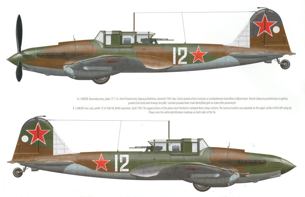 il-2m-29.jpg