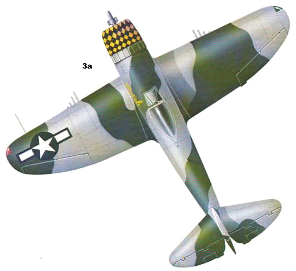 p-47-311.jpg