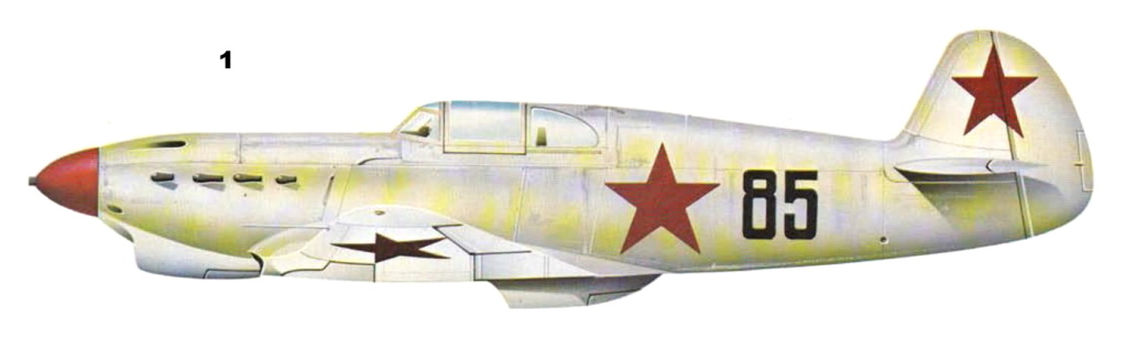 yak-110.jpg